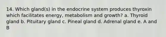 14. Which gland(s) in the endocrine system produces thyroxin which facilitates energy, metabolism and growth? a. Thyroid gland b. Pituitary gland c. Pineal gland d. Adrenal gland e. A and B