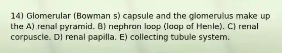 14) Glomerular (Bowman s) capsule and the glomerulus make up the A) renal pyramid. B) nephron loop (loop of Henle). C) renal corpuscle. D) renal papilla. E) collecting tubule system.