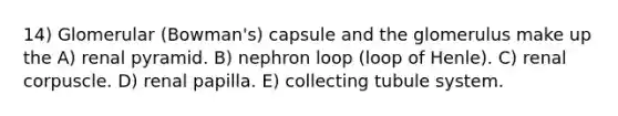 14) Glomerular (Bowman's) capsule and the glomerulus make up the A) renal pyramid. B) nephron loop (loop of Henle). C) renal corpuscle. D) renal papilla. E) collecting tubule system.