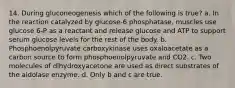 14. During gluconeogenesis which of the following is true? a. In the reaction catalyzed by glucose-6 phosphatase, muscles use glucose 6-P as a reactant and release glucose and ATP to support serum glucose levels for the rest of the body. b. Phosphoenolpyruvate carboxykinase uses oxaloacetate as a carbon source to form phosphoenolpyruvate and CO2. c. Two molecules of dihydroxyacetone are used as direct substrates of the aldolase enzyme. d. Only b and c are true.