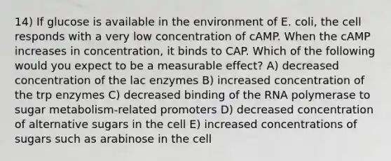 14) If glucose is available in the environment of E. coli, the cell responds with a very low concentration of cAMP. When the cAMP increases in concentration, it binds to CAP. Which of the following would you expect to be a measurable effect? A) decreased concentration of the lac enzymes B) increased concentration of the trp enzymes C) decreased binding of the RNA polymerase to sugar metabolism-related promoters D) decreased concentration of alternative sugars in the cell E) increased concentrations of sugars such as arabinose in the cell