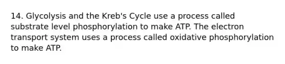 14. Glycolysis and the Kreb's Cycle use a process called substrate level phosphorylation to make ATP. The electron transport system uses a process called oxidative phosphorylation to make ATP.