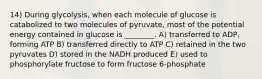 14) During glycolysis, when each molecule of glucose is catabolized to two molecules of pyruvate, most of the potential energy contained in glucose is ________. A) transferred to ADP, forming ATP B) transferred directly to ATP C) retained in the two pyruvates D) stored in the NADH produced E) used to phosphorylate fructose to form fructose 6-phosphate