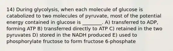 14) During glycolysis, when each molecule of glucose is catabolized to two molecules of pyruvate, most of the potential energy contained in glucose is ________. A) transferred to ADP, forming ATP B) transferred directly to ATP C) retained in the two pyruvates D) stored in the NADH produced E) used to phosphorylate fructose to form fructose 6-phosphate