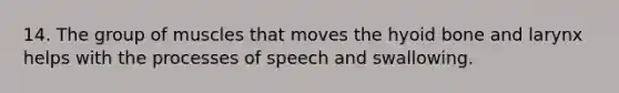 14. The group of muscles that moves the hyoid bone and larynx helps with the processes of speech and swallowing.