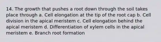 14. The growth that pushes a root down through the soil takes place through a. Cell elongation at the tip of the root cap b. Cell division in the apical meristem c. Cell elongation behind the apical meristem d. Differentiation of xylem cells in the apical meristem e. Branch root formation