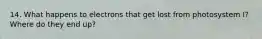 14. What happens to electrons that get lost from photosystem I? Where do they end up?