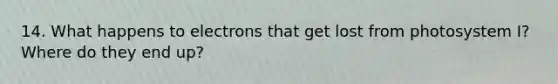 14. What happens to electrons that get lost from photosystem I? Where do they end up?