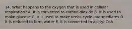 14. What happens to the oxygen that is used in cellular respiration? A. It is converted to carbon dioxide B. It is used to make glucose C. It is used to make Krebs cycle intermediates D. It is reduced to form water E. It is converted to acetyl-CoA