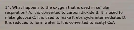 14. What happens to the oxygen that is used in cellular respiration? A. It is converted to carbon dioxide B. It is used to make glucose C. It is used to make Krebs cycle intermediates D. It is reduced to form water E. It is converted to acetyl-CoA