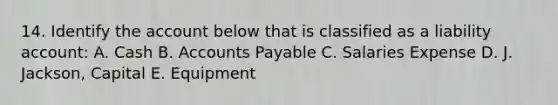 14. Identify the account below that is classified as a liability account: A. Cash B. Accounts Payable C. Salaries Expense D. J. Jackson, Capital E. Equipment