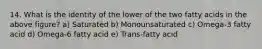 14. What is the identity of the lower of the two fatty acids in the above figure? a) Saturated b) Monounsaturated c) Omega-3 fatty acid d) Omega-6 fatty acid e) Trans-fatty acid