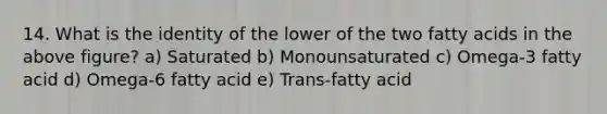 14. What is the identity of the lower of the two fatty acids in the above figure? a) Saturated b) Monounsaturated c) Omega-3 fatty acid d) Omega-6 fatty acid e) Trans-fatty acid