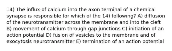 14) The influx of calcium into the axon terminal of a chemical synapse is responsible for which of the 14) following? A) diffusion of the neurotransmitter across the membrane and into the cleft B) movement of calcium through gap junctions C) initiation of an action potential D) fusion of vesicles to the membrane and of exocytosis neurotransmitter E) termination of an action potential