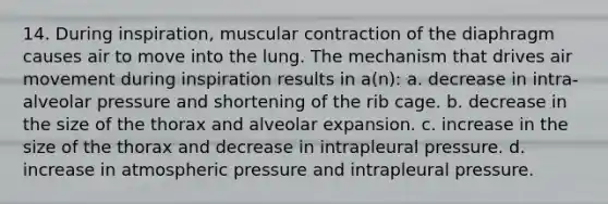 14. During inspiration, muscular contraction of the diaphragm causes air to move into the lung. The mechanism that drives air movement during inspiration results in a(n): a. decrease in intra-alveolar pressure and shortening of the rib cage. b. decrease in the size of the thorax and alveolar expansion. c. increase in the size of the thorax and decrease in intrapleural pressure. d. increase in atmospheric pressure and intrapleural pressure.