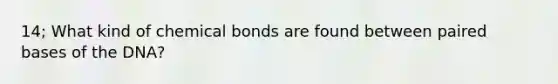 14; What kind of chemical bonds are found between paired bases of the DNA?