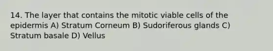 14. The layer that contains the mitotic viable cells of the epidermis A) Stratum Corneum B) Sudoriferous glands C) Stratum basale D) Vellus