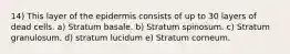 14) This layer of the epidermis consists of up to 30 layers of dead cells. a) Stratum basale. b) Stratum spinosum. c) Stratum granulosum. d) stratum lucidum e) Stratum corneum.