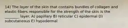 14) The layer of the skin that contains bundles of collagen and elastic fibers responsible for the strength of the skin is the ________ layer. A) papillary B) reticular C) epidermal D) subcutaneous E) hypodermal