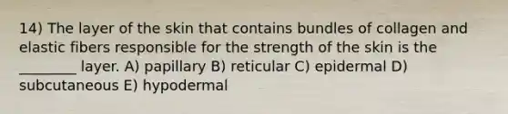 14) The layer of the skin that contains bundles of collagen and elastic fibers responsible for the strength of the skin is the ________ layer. A) papillary B) reticular C) epidermal D) subcutaneous E) hypodermal