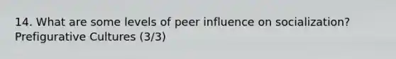 14. What are some levels of peer influence on socialization? Prefigurative Cultures (3/3)