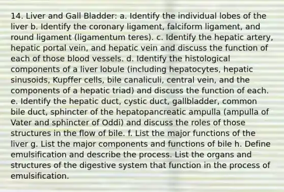 14. Liver and Gall Bladder: a. Identify the individual lobes of the liver b. Identify the coronary ligament, falciform ligament, and round ligament (ligamentum teres). c. Identify the hepatic artery, hepatic portal vein, and hepatic vein and discuss the function of each of those blood vessels. d. Identify the histological components of a liver lobule (including hepatocytes, hepatic sinusoids, Kupffer cells, bile canaliculi, central vein, and the components of a hepatic triad) and discuss the function of each. e. Identify the hepatic duct, cystic duct, gallbladder, common bile duct, sphincter of the hepatopancreatic ampulla (ampulla of Vater and sphincter of Oddi) and discuss the roles of those structures in the flow of bile. f. List the major functions of the liver g. List the major components and functions of bile h. Define emulsification and describe the process. List the organs and structures of the digestive system that function in the process of emulsification.