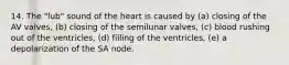 14. The "lub" sound of the heart is caused by (a) closing of the AV valves, (b) closing of the semilunar valves, (c) blood rushing out of the ventricles, (d) filling of the ventricles, (e) a depolarization of the SA node.