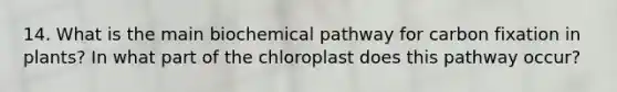 14. What is the main biochemical pathway for carbon fixation in plants? In what part of the chloroplast does this pathway occur?