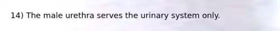 14) The male urethra serves the urinary system only.