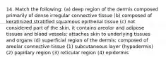 14. Match the following: (a) deep region of the dermis composed primarily of dense irregular connective tissue (b) composed of keratinized stratified squamous epithelial tissue (c) not considered part of the skin, it contains areolar and adipose tissues and blood vessels; attaches skin to underlying tissues and organs (d) superficial region of the dermis; composed of areolar connective tissue (1) subcutaneous layer (hypodermis) (2) papillary region (3) reticular region (4) epidermis