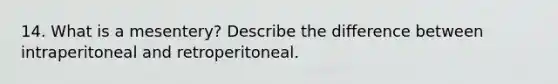 14. What is a mesentery? Describe the difference between intraperitoneal and retroperitoneal.