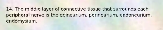 14. The middle layer of connective tissue that surrounds each peripheral nerve is the epineurium. perineurium. endoneurium. endomysium.