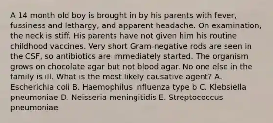 A 14 month old boy is brought in by his parents with fever, fussiness and lethargy, and apparent headache. On examination, the neck is stiff. His parents have not given him his routine childhood vaccines. Very short Gram-negative rods are seen in the CSF, so antibiotics are immediately started. The organism grows on chocolate agar but not blood agar. No one else in the family is ill. What is the most likely causative agent? A. Escherichia coli B. Haemophilus influenza type b C. Klebsiella pneumoniae D. Neisseria meningitidis E. Streptococcus pneumoniae