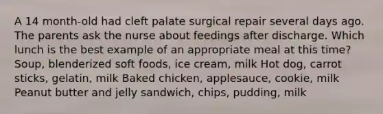 A 14 month-old had cleft palate surgical repair several days ago. The parents ask the nurse about feedings after discharge. Which lunch is the best example of an appropriate meal at this time? Soup, blenderized soft foods, ice cream, milk Hot dog, carrot sticks, gelatin, milk Baked chicken, applesauce, cookie, milk Peanut butter and jelly sandwich, chips, pudding, milk