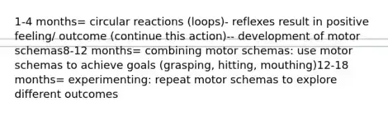 1-4 months= circular reactions (loops)- reflexes result in positive feeling/ outcome (continue this action)-- development of motor schemas8-12 months= combining motor schemas: use motor schemas to achieve goals (grasping, hitting, mouthing)12-18 months= experimenting: repeat motor schemas to explore different outcomes