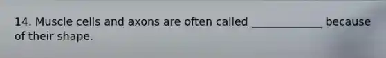 14. Muscle cells and axons are often called _____________ because of their shape.