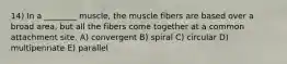 14) In a ________ muscle, the muscle fibers are based over a broad area, but all the fibers come together at a common attachment site. A) convergent B) spiral C) circular D) multipennate E) parallel