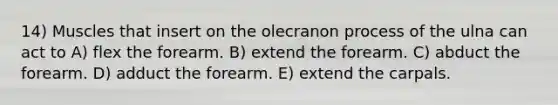 14) Muscles that insert on the olecranon process of the ulna can act to A) flex the forearm. B) extend the forearm. C) abduct the forearm. D) adduct the forearm. E) extend the carpals.