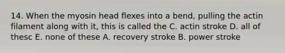 14. When the myosin head flexes into a bend, pulling the actin filament along with it, this is called the C. actin stroke D. all of thesc E. none of these A. recovery stroke B. power stroke