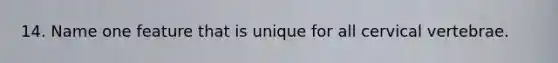 14. Name one feature that is unique for all cervical vertebrae.