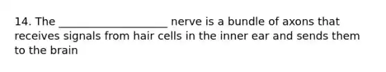 14. The ____________________ nerve is a bundle of axons that receives signals from hair cells in the inner ear and sends them to the brain