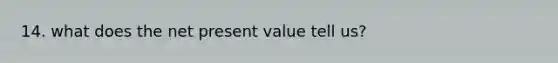 14. what does the net present value tell us?