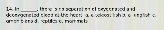 14. In _______, there is no separation of oxygenated and deoxygenated blood at the heart. a. a teleost fish b. a lungfish c. amphibians d. reptiles e. mammals