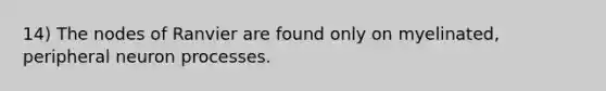 14) The nodes of Ranvier are found only on myelinated, peripheral neuron processes.