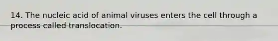 14. The nucleic acid of animal viruses enters the cell through a process called translocation.