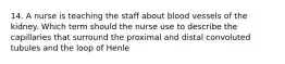 14. A nurse is teaching the staff about blood vessels of the kidney. Which term should the nurse use to describe the capillaries that surround the proximal and distal convoluted tubules and the loop of Henle