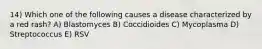 14) Which one of the following causes a disease characterized by a red rash? A) Blastomyces B) Coccidioides C) Mycoplasma D) Streptococcus E) RSV