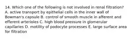 14. Which one of the following is not involved in renal filtration? A. active transport by epithelial cells in the inner wall of Bowman's capsule B. control of smooth muscle in afferent and efferent arterioles C. high blood pressure in glomerular capillaries D. motility of podocyte processes E. large surface area for filtration