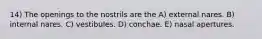 14) The openings to the nostrils are the A) external nares. B) internal nares. C) vestibules. D) conchae. E) nasal apertures.