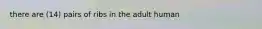 there are (14) pairs of ribs in the adult human